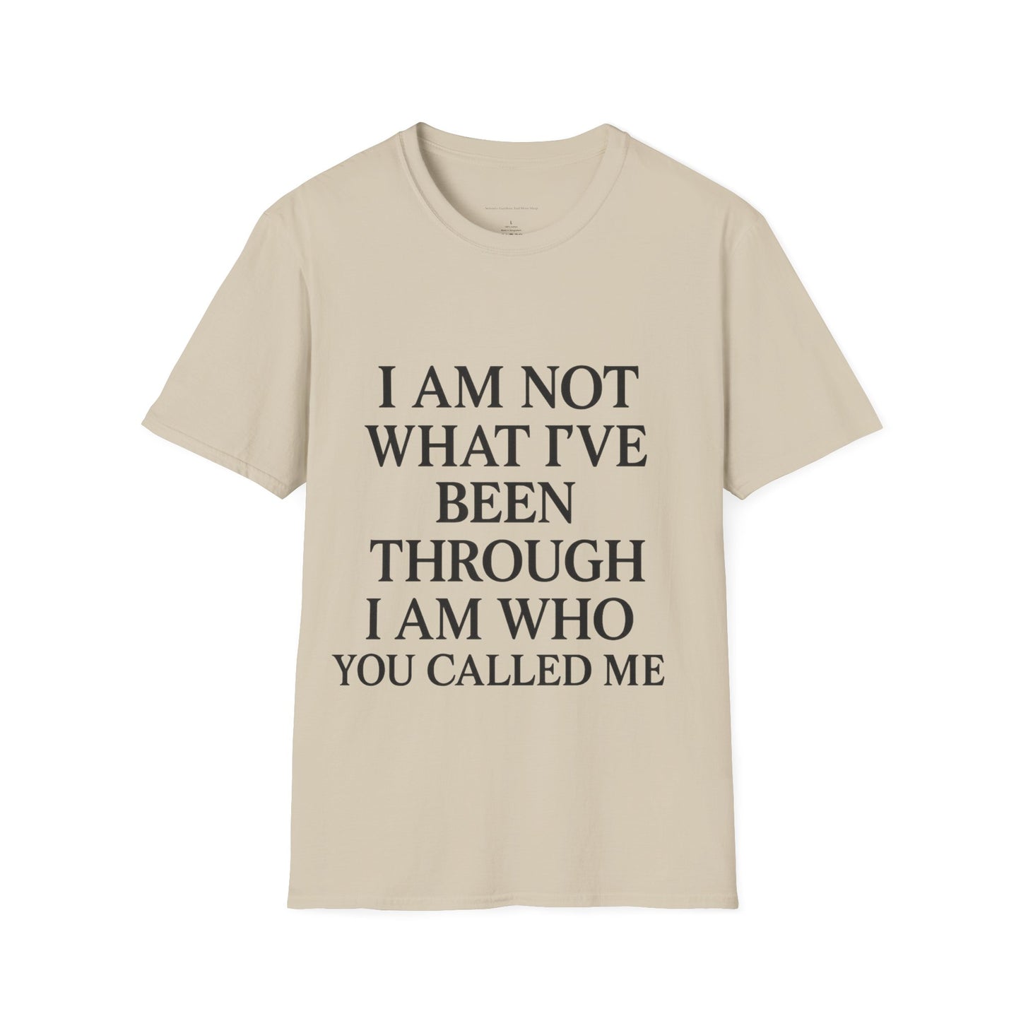 Inspirational Christian Unisex Softstyle T-Shirt, Faith-Based Apparel, Christian Gift, Motivational Tee, Quote Shirt